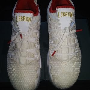 LeBron 16 low